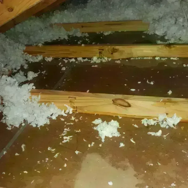 Attic Water Damage in East Pensacola Heights, FL