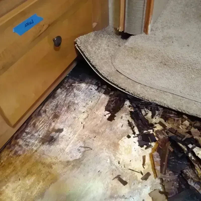 Wood Floor Water Damage in East Pensacola Heights, FL